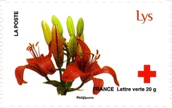 Red Cross - Love depicted in 10 flowers