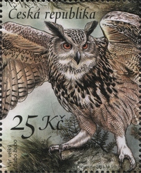 Nature Protection - Owls