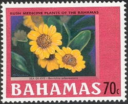 Stamp, Bush medicine plants of the Bahamas - Sea ox-eye, Bahamas,  