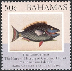 The Natural History of Carolina. Florida and the Bahama Islands - The Parrot Fish