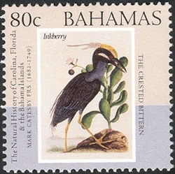 The Natural History of Carolina. Florida and the Bahama Islands - The Crested Bittern