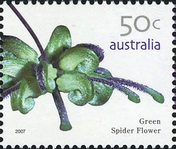 Stamp, Australian Wildflowers - Green Spider Flower, Australia,  