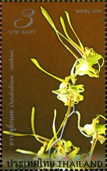 Amazing Thailand - Orchids