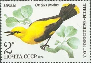 Stamp, Golden Oriole (Oriolus oriolus), Soviet Union, USSR,  , Birds, Animals (Fauna)