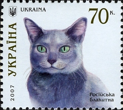Cats - Russian Blue
