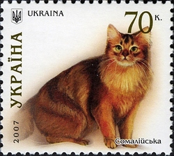 Cats - Somali