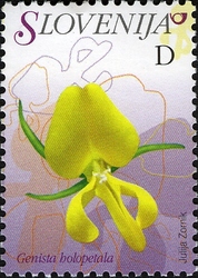 Flowers - Primorska Whin