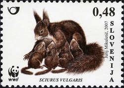 Stamp, WWF - Red Squirrel, Slovenia,  