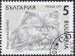 Persian