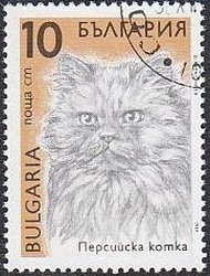 Persian