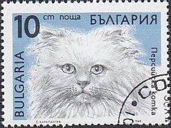 Persian