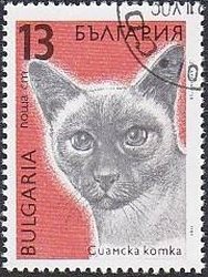 Siamese