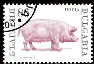 Stamp, Domestic Pig (Sus scrofa domestica), Bulgaria,  , Mammals, Pigs, Animals (Fauna)