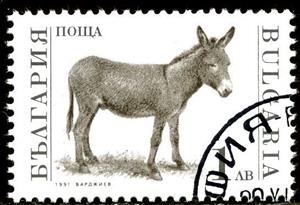 Stamp, Donkey (Equus asinus asinus), Bulgaria,  , Mammals, Animals (Fauna), Donkeys