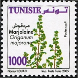 Medicinal plants - Marjorum