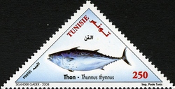 Fishes of Tunisia - Thunnus thynnus