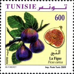 Stamp, Fruits of Tunisia - Fig, Tunisia,  