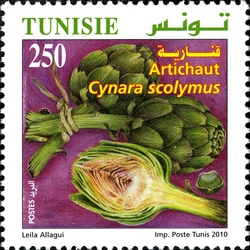 Organic Farming in Tunisia - Artichokes