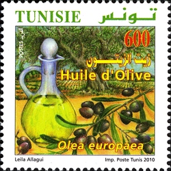 Organic Farming in Tunisia - Olive Oil