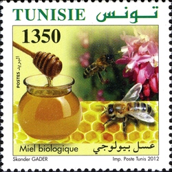 Organic Farming in Tunisia - Honey