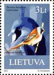 Humans and Nature - Zuvintas Biosphere Reserve - Bearded Tit