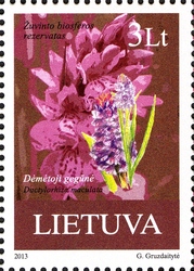 Stamp, Humans and Nature - Zuvintas Biosphere Reserve - Dactylorhiza stained, Lithuania,  