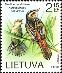 The Red Book of Lithuania - Birds - Aquatic Warbler (Acrophelus paludicola)