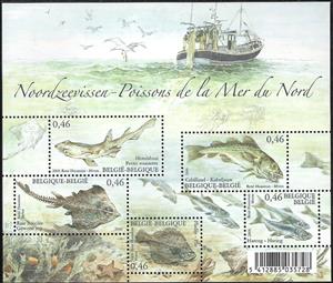 Souvenir Sheet, Bloc Northsea Fish, Belgium,  
