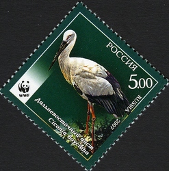 WWF Endangered species - Far Eastern Stork