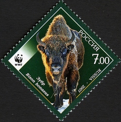 WWF Endangered species - Wisent