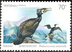 The Red Book of Ukraine - European Shag