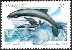 The Red Book of Ukraine - Harbour Porpoise