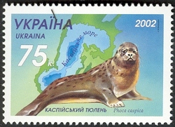 Stamp, joint issue with Kazakhstan - Caspian Seal - Phoca capica, Ukraine,  