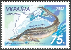 joint issue with Kazakhstan - Beluga - Huos huso ponticus