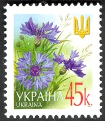 Purple flower