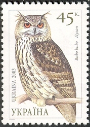 Owls of Ukraine - Eagle Owl (Bubo bubo)
