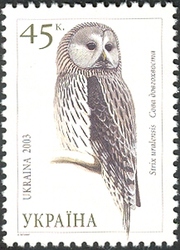 Owls of Ukraine - Ural Owl (Strix uralensis)