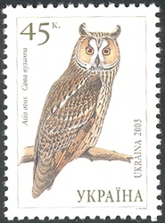 Owls of Ukraine - Long-eared Owl (Asio otus)