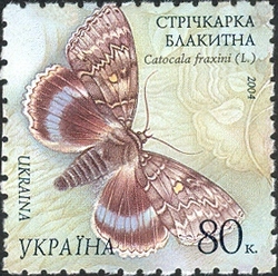Butterflies - Clifden Nonpareil. Catocala fraxini (L.)