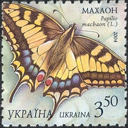 Butterflies - Swallowtail. Papilio machaon (L.)