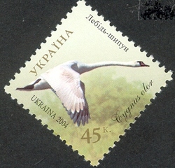 Dunai Biosphere Reserve - Mute Swan. Cygnus olor