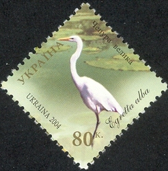 Dunai Biosphere Reserve - Great White Egret. Egretta alba
