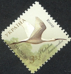 Dunai Biosphere Reserve - Spoonbill. Platalea leucorodia