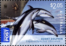 WWF - Dolphins of the Australian Coastline - Dusky Dolphin