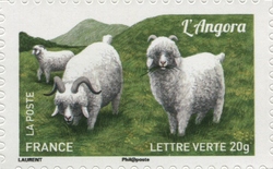 Goats