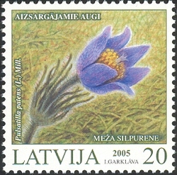 Protected Plants - Pulsatilla patens (L.) Mill.