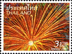 New Year 2012