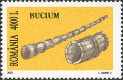 Folk Musical Instruments - Bucium