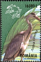 The Danube Delta - Ardea cinerea