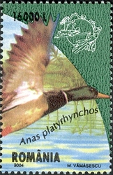 Stamp, The Danube Delta - Anas platyrhynchos, Romania,  